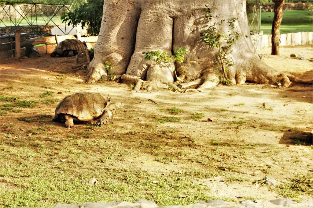 Africa 6 Plage Somone Exterior foto